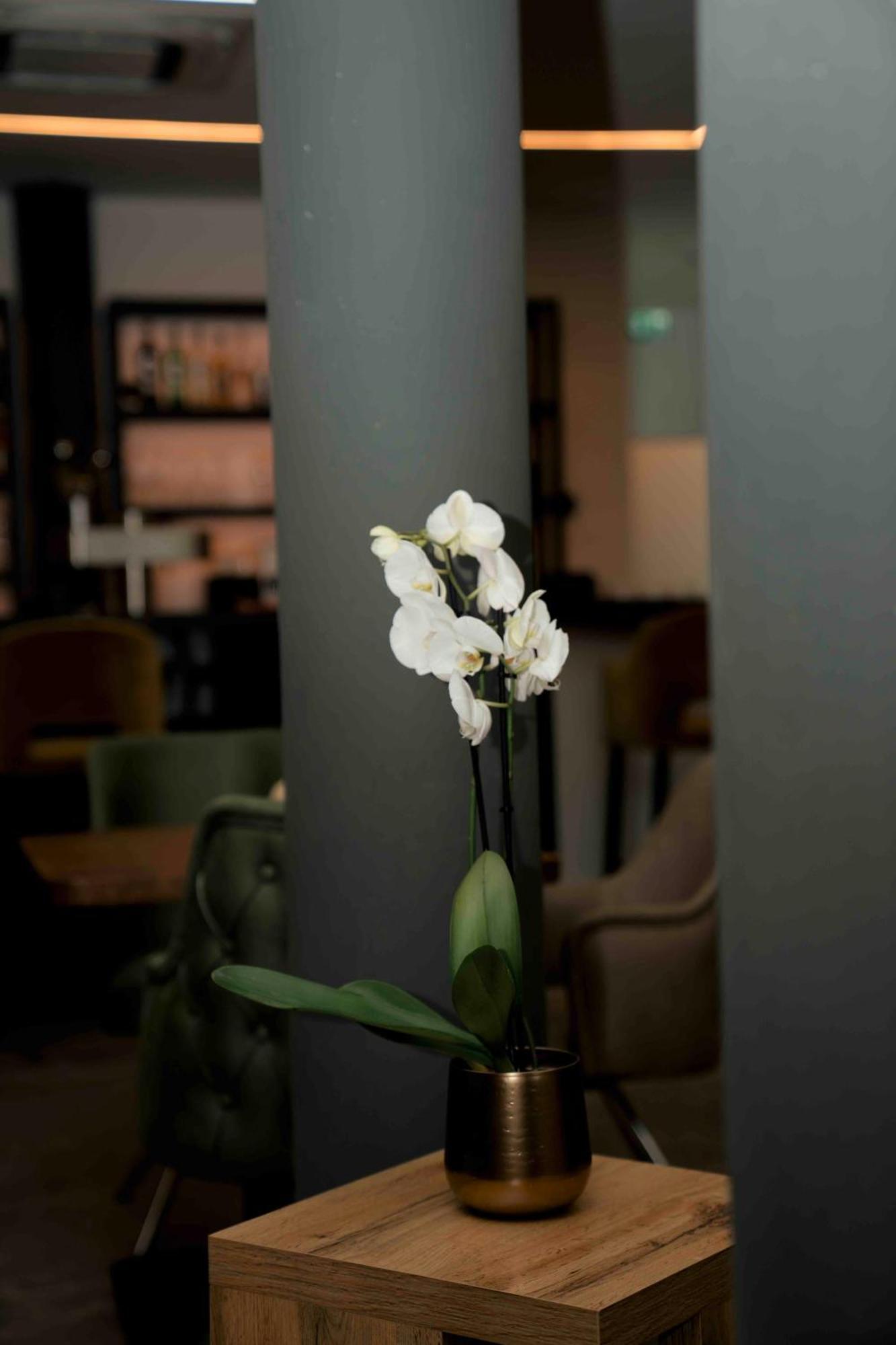 Central Hotel & Lounge Adult Only Goslar Exteriér fotografie